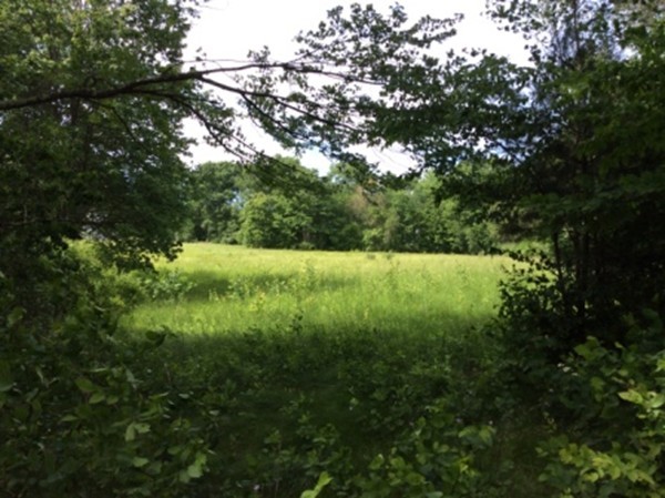 840 W Road New Braintree, MA 01531 - Photo 28 of 30 a view of yard with green space