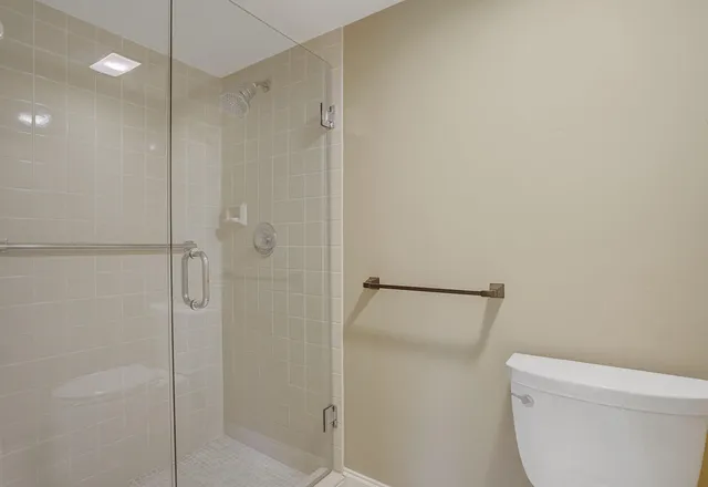 a bathroom with a shower and toilet