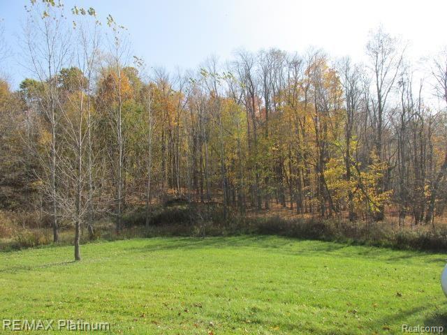 9094 Robb Road Fowlerville, MI 48836 - Photo 5 of 32 VIEW FROM DECK
