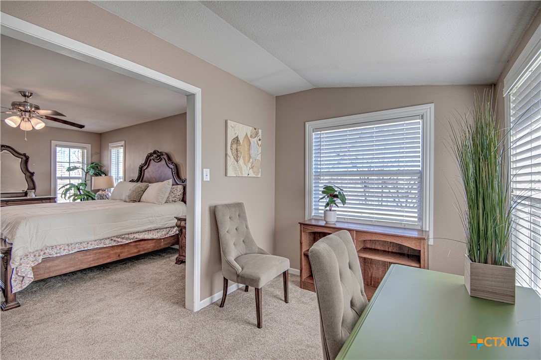 1667 Primrose Trail Temple, TX 76501 - Photo 29 of 48