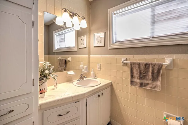 a bathroom with a sink and a mirror