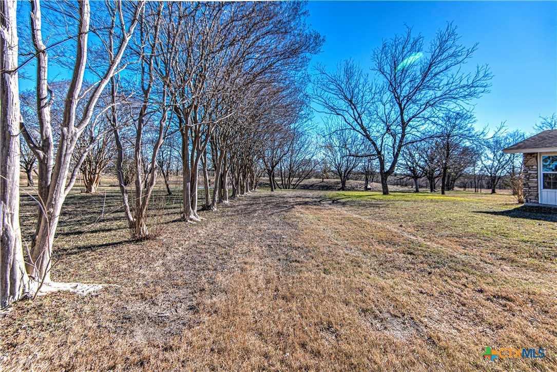 1667 Primrose Trail Temple, TX 76501 - Photo 44 of 48