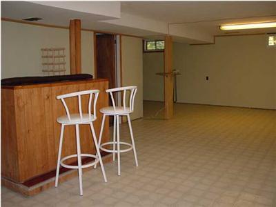 3126 Bass Lake Road Pierson, MI 49339 - Photo 11 of 15 Additional Photo