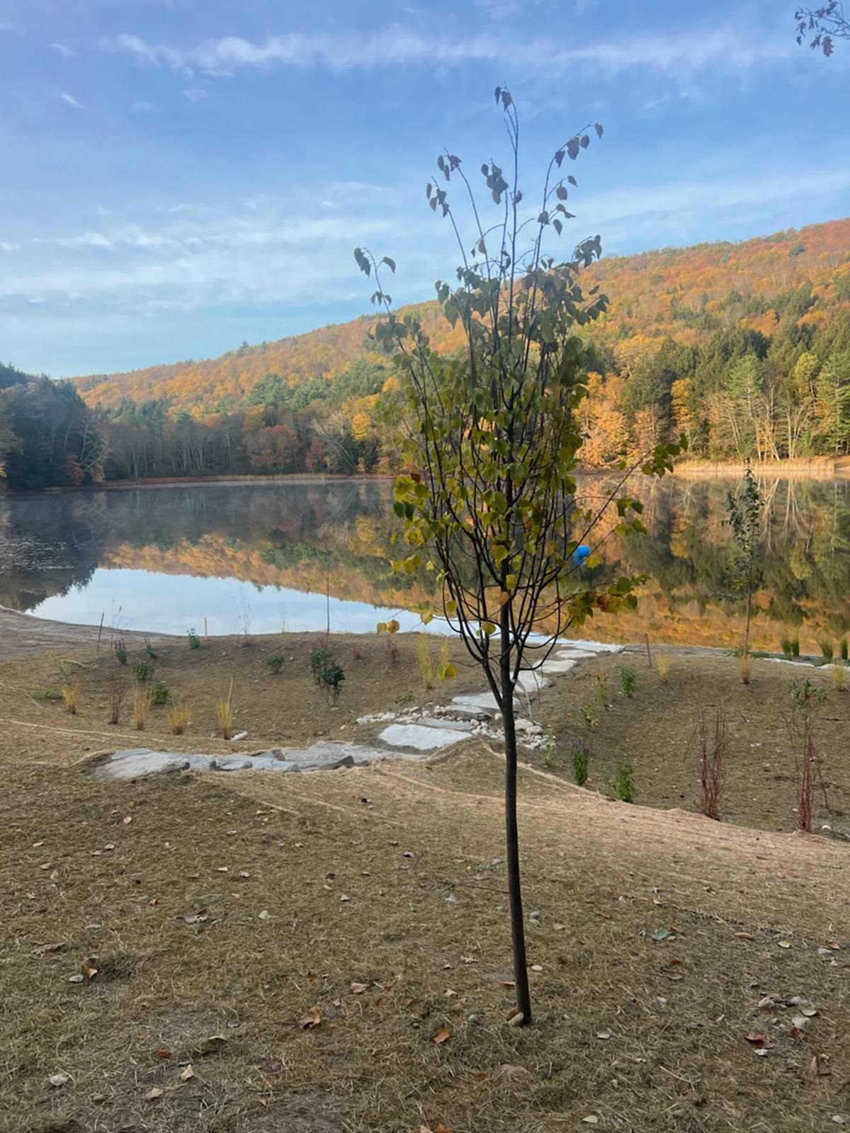 69 Church Street Wallingford, VT 05773 - Photo 42 of 42