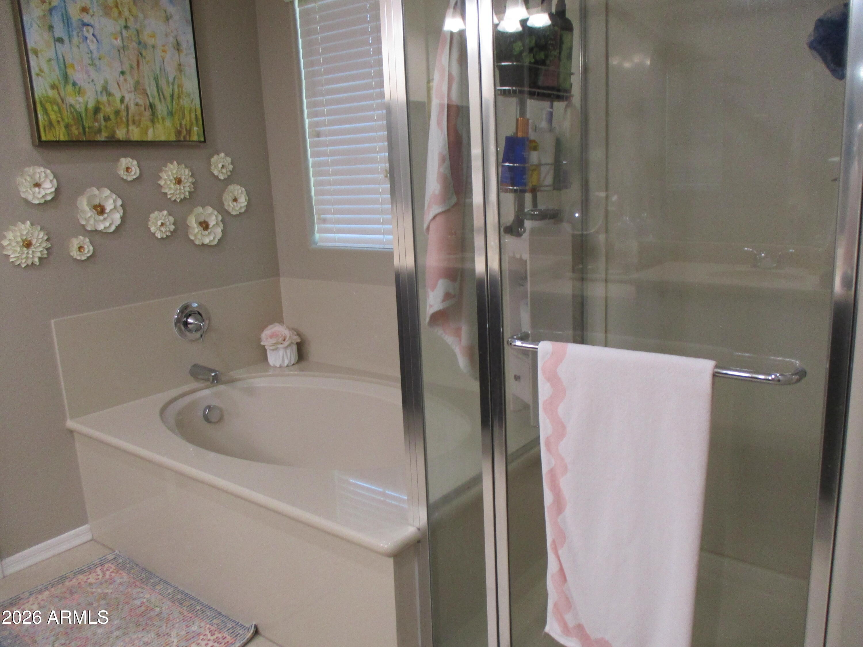 856 South Agnes Lane Gilbert, AZ 85296 - Photo 9 of 12 856 S Agnes Lane Primary Ensuite Shower