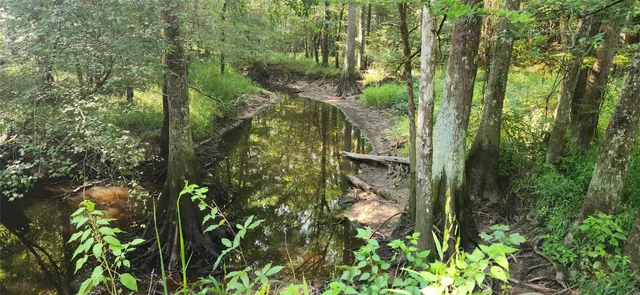 $399,000 | 5680 Highway 43, Jefferson, TX 75657