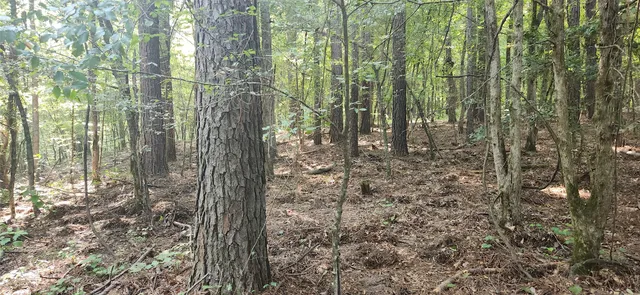 $399,000 | 5680 Highway 43, Jefferson, TX 75657