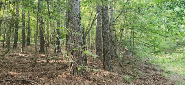 $399,000 | 5680 Highway 43, Jefferson, TX 75657