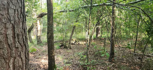 $399,000 | 5680 Highway 43, Jefferson, TX 75657