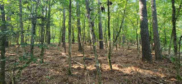 $399,000 | 5680 Highway 43, Jefferson, TX 75657