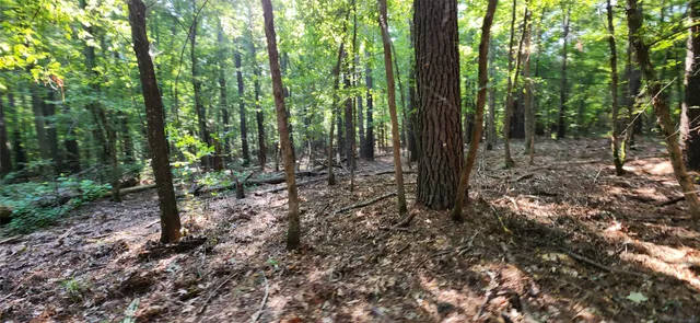 $399,000 | 5680 Highway 43, Jefferson, TX 75657