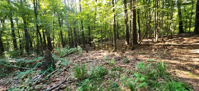 $399,000 | 5680 Highway 43, Jefferson, TX 75657