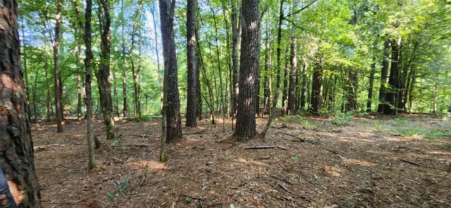 $399,000 | 5680 Highway 43, Jefferson, TX 75657