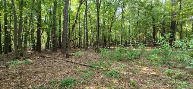 $399,000 | 5680 Highway 43, Jefferson, TX 75657