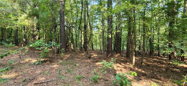 $399,000 | 5680 Highway 43, Jefferson, TX 75657