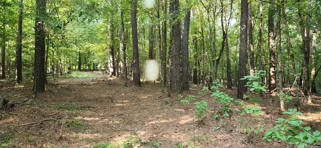 $399,000 | 5680 Highway 43, Jefferson, TX 75657