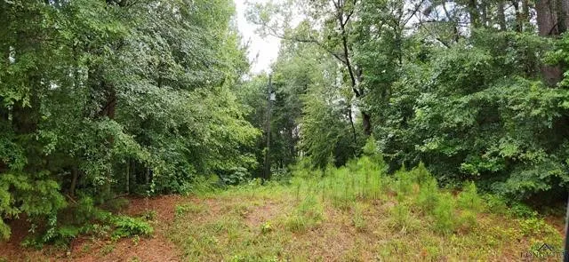 $399,000 | 5680 Highway 43, Jefferson, TX 75657