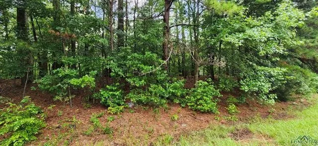 $399,000 | 5680 Highway 43, Jefferson, TX 75657