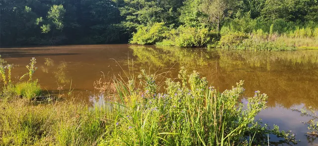 $399,000 | 5680 Highway 43, Jefferson, TX 75657