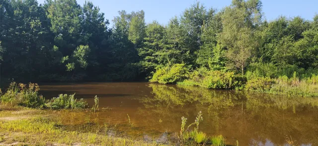 $399,000 | 5680 Highway 43, Jefferson, TX 75657