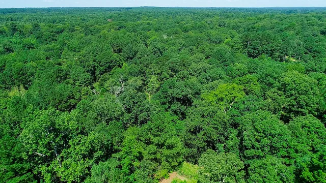 $399,000 | 5680 Highway 43, Jefferson, TX 75657