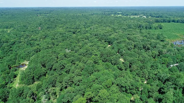 $399,000 | 5680 Highway 43, Jefferson, TX 75657