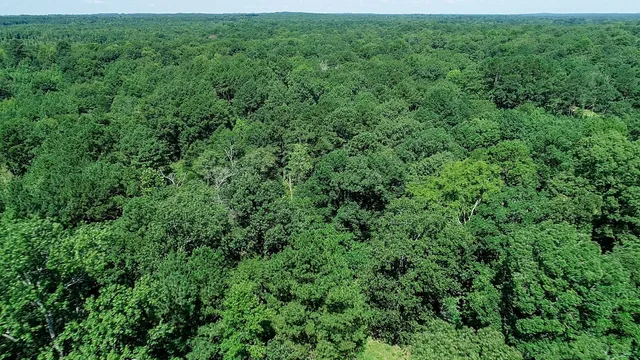 $399,000 | 5680 Highway 43, Jefferson, TX 75657