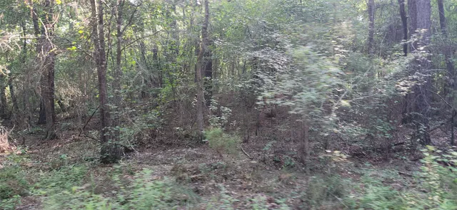 $399,000 | 5680 Highway 43, Jefferson, TX 75657