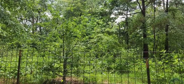 $399,000 | 5680 Highway 43, Jefferson, TX 75657