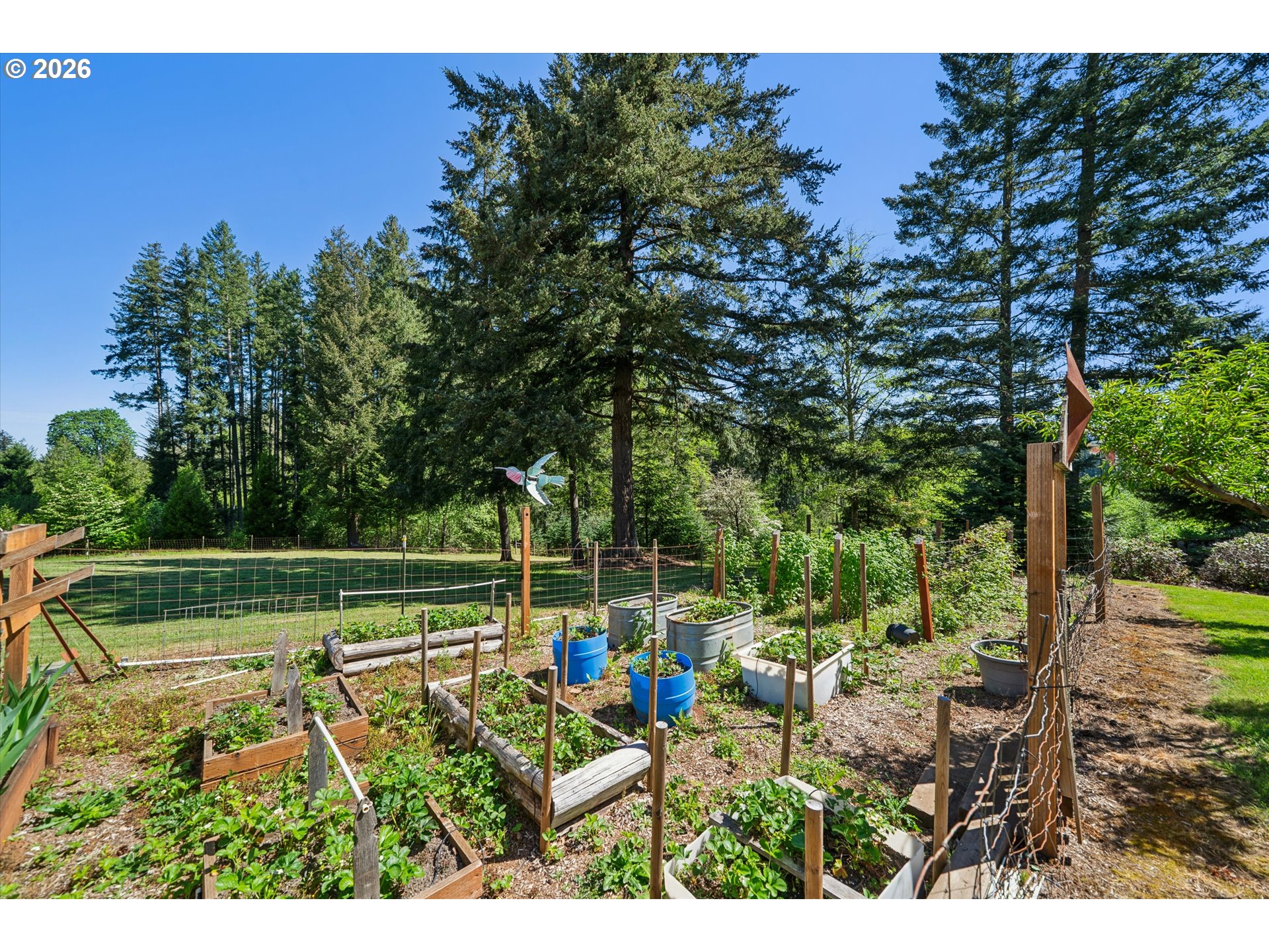 37945 Southeast Tumala Mountain Road Estacada, OR 97023 - Photo 31 of 48 Stable