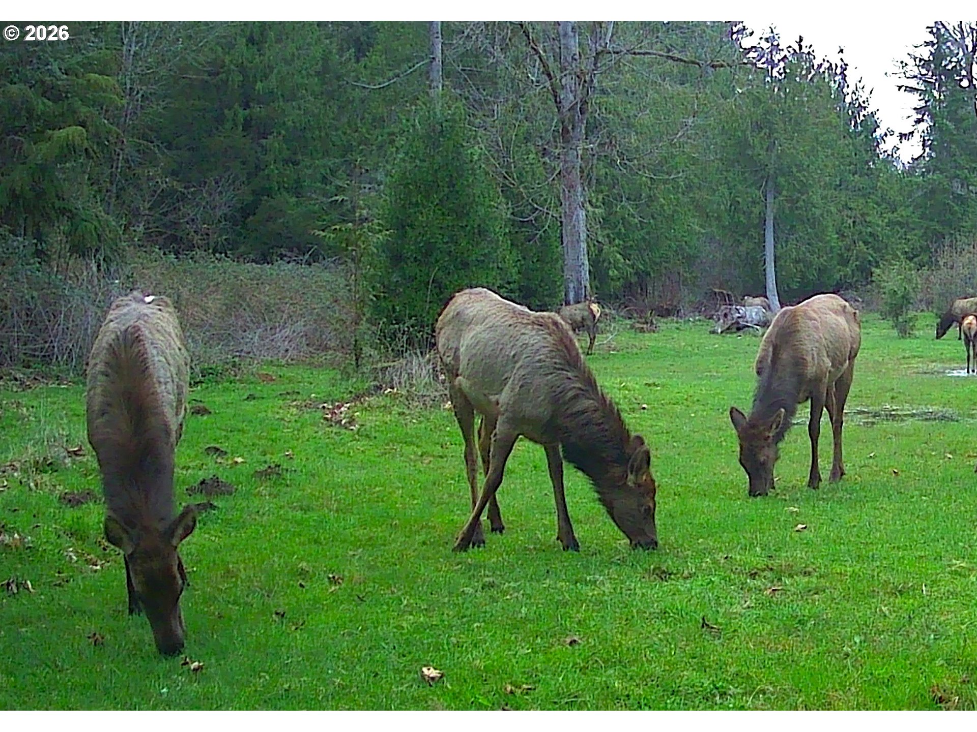 37945 Southeast Tumala Mountain Road Estacada, OR 97023 - Photo 44 of 48