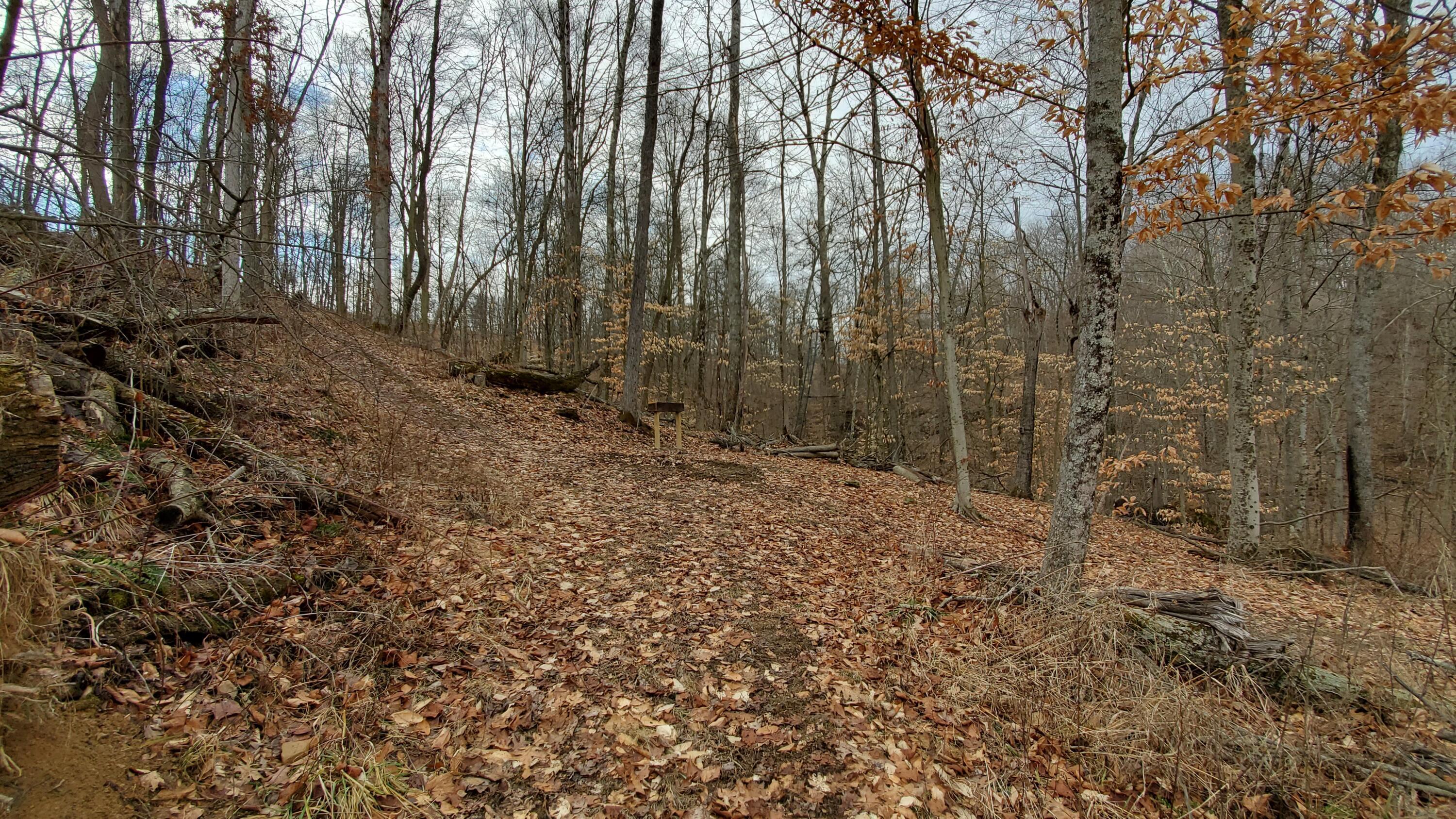 6870 Crane Run Road Cumberland, OH 43732 - Photo 39 of 49 20250226_125341