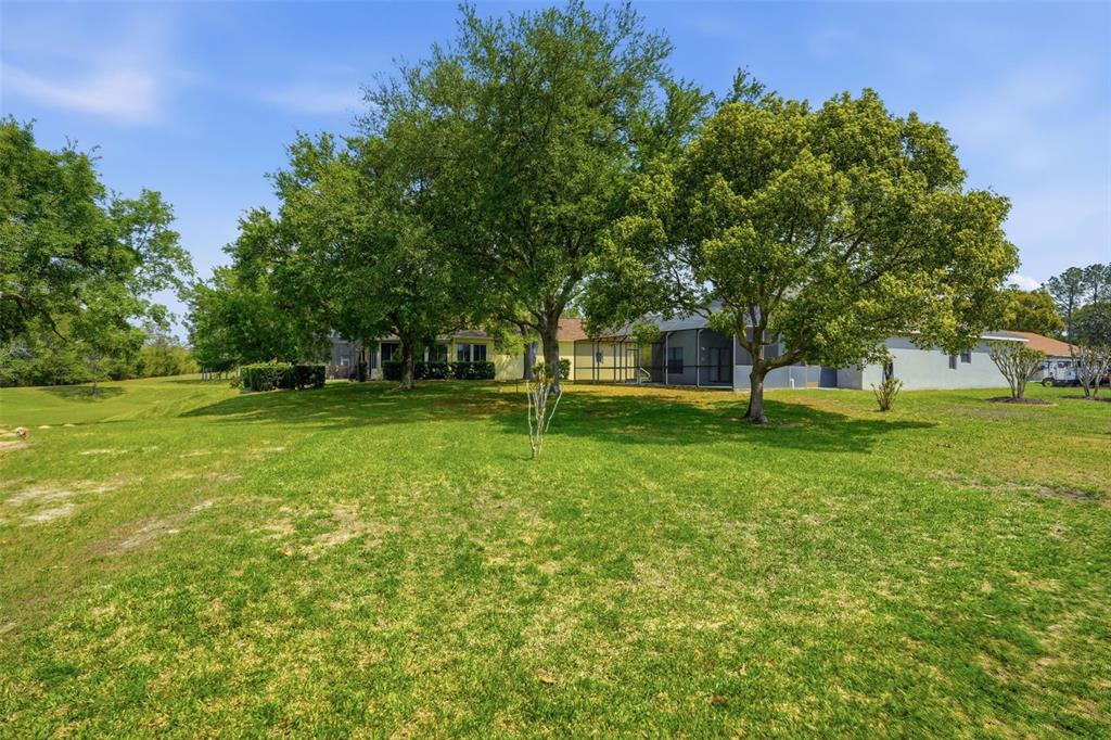 314 McIntosh Court Spring Hill, FL 34609 - Photo 39 of 49