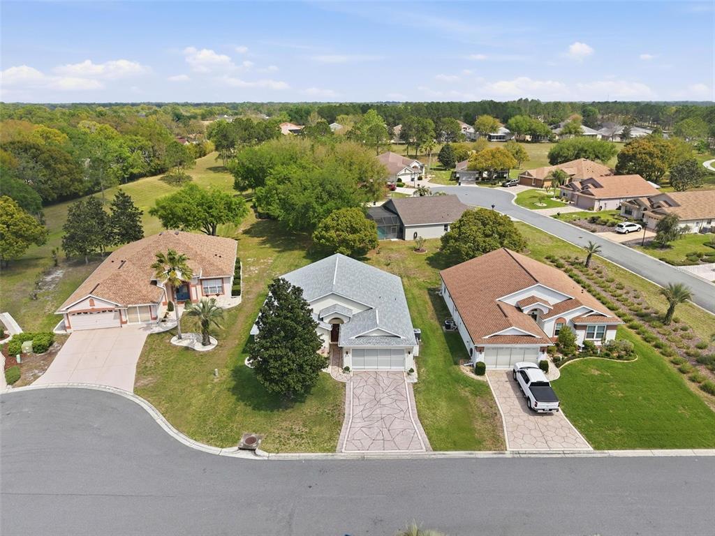 314 McIntosh Court Spring Hill, FL 34609 - Photo 40 of 49