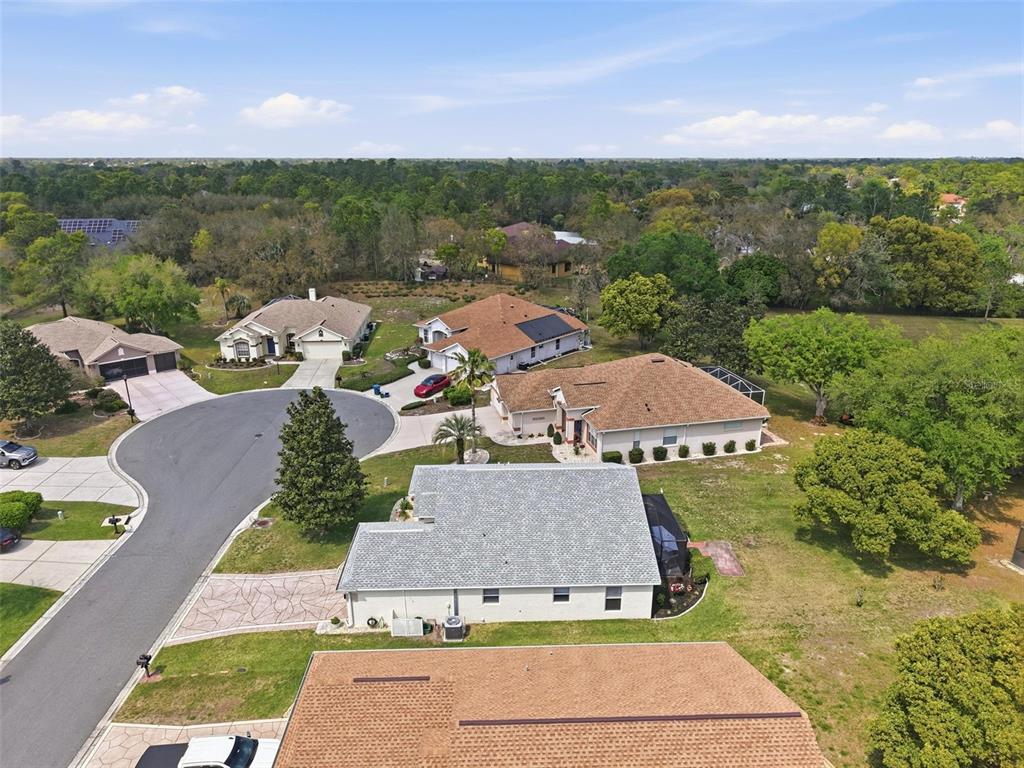 314 McIntosh Court Spring Hill, FL 34609 - Photo 42 of 49