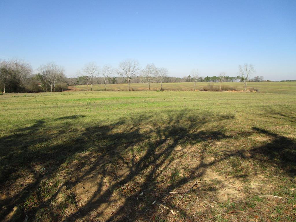 1 Culver Road Newville, AL 36353 - Photo 1 of 3