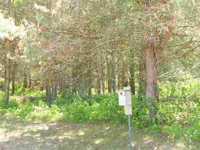 4319 Atkins Road Port Huron, MI 48060 - Photo 21 of 22 31058997-20.JPG
