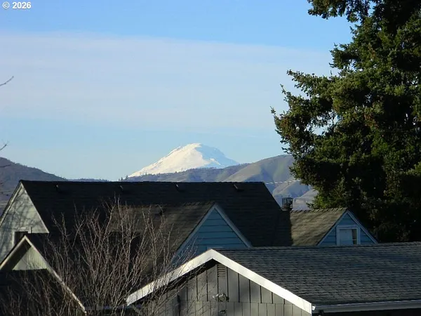 a view of yard from outdoor space