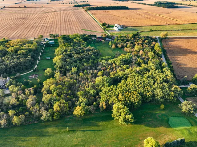 a view of a garden with a lake