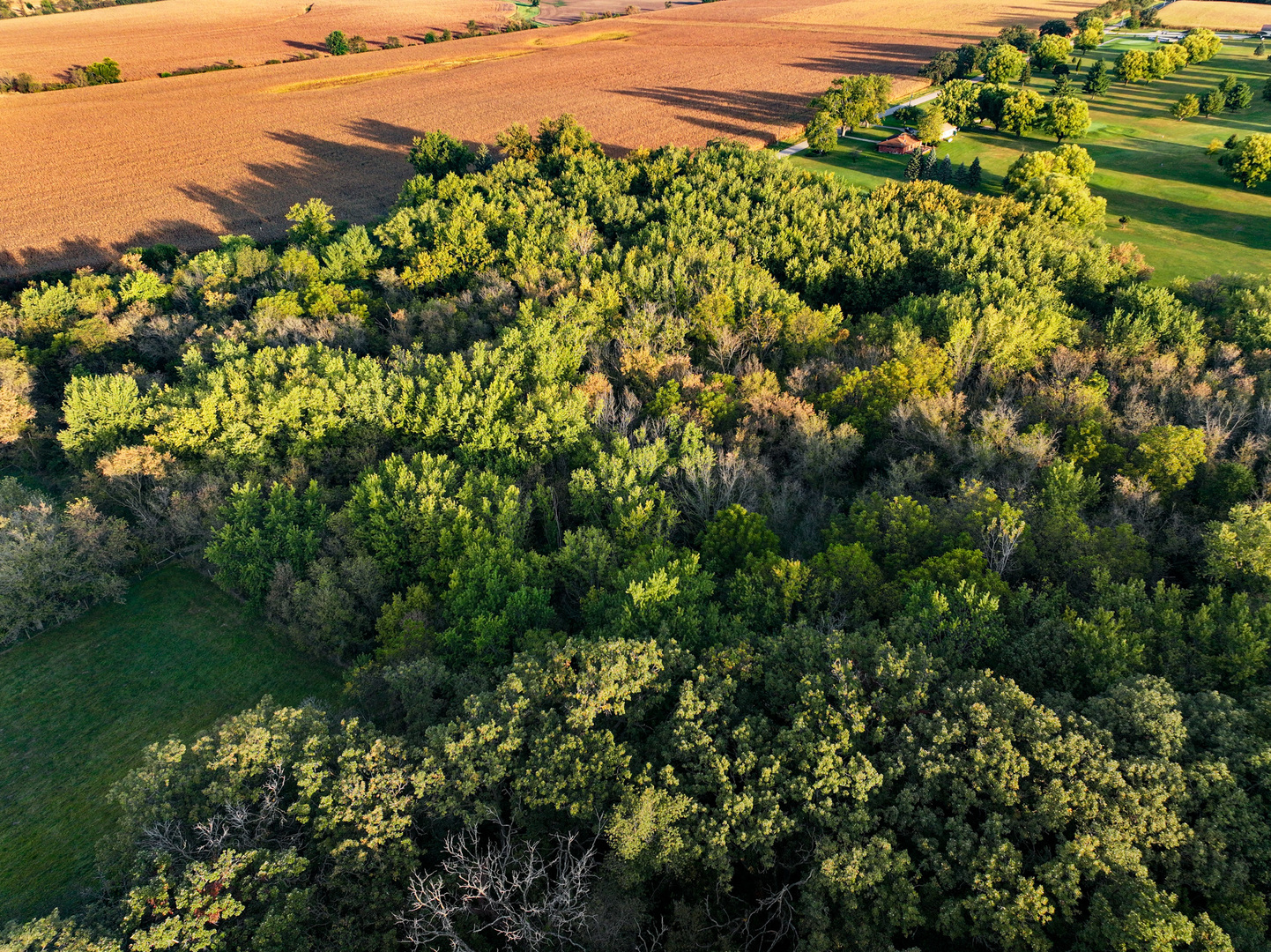 0 Hunter Road Capron, IL 61012 - Photo 12 of 36 a view of a lake with a garden