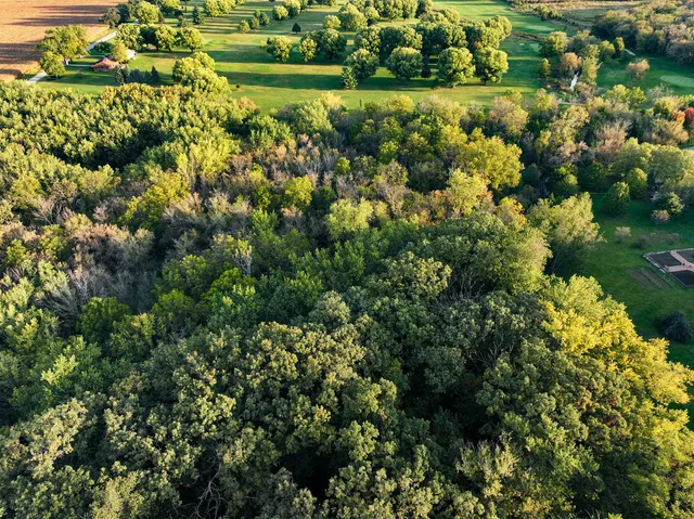 a view of from a garden