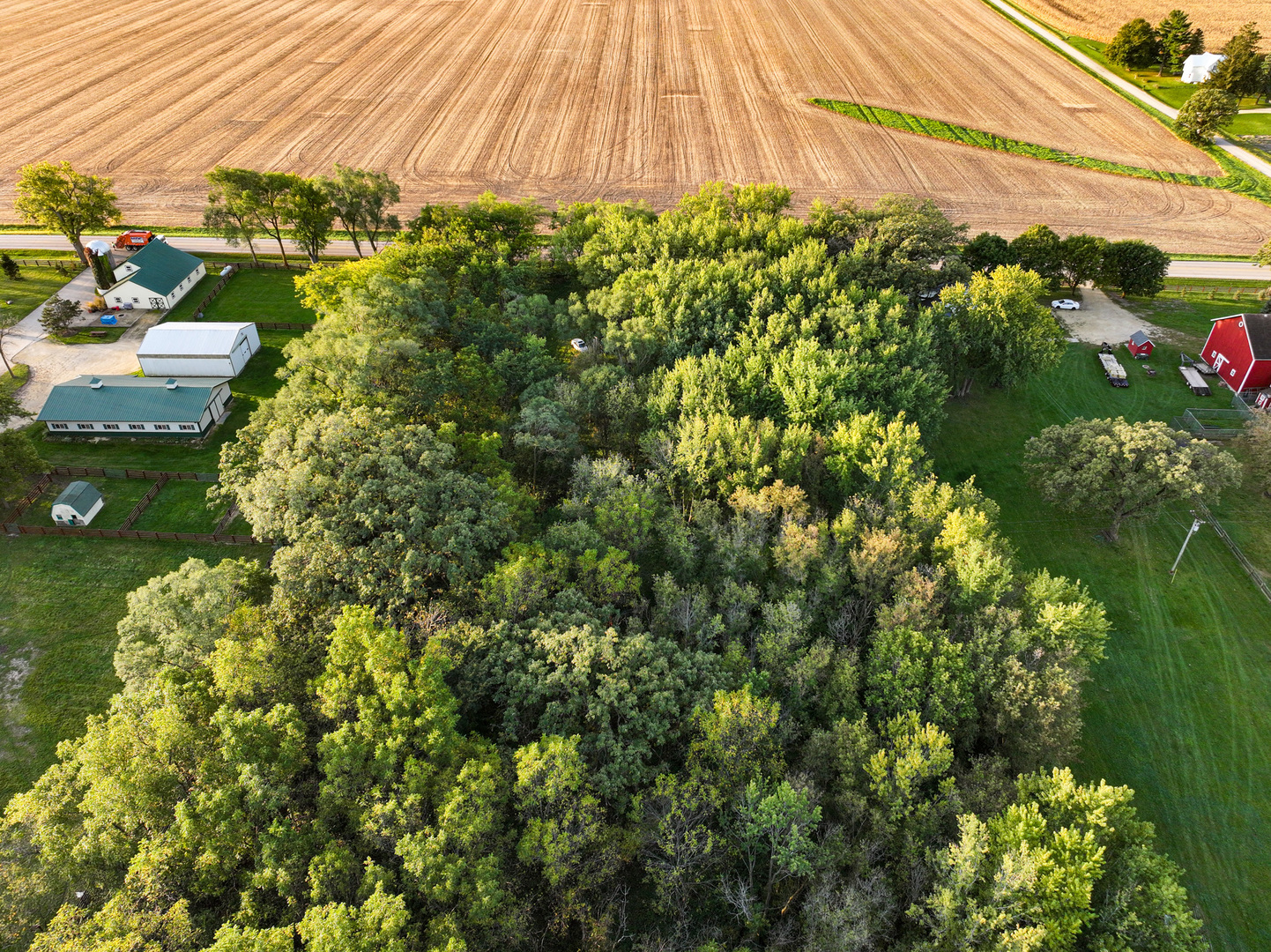 0 Hunter Road Capron, IL 61012 - Photo 14 of 36 a view of a garden with plants
