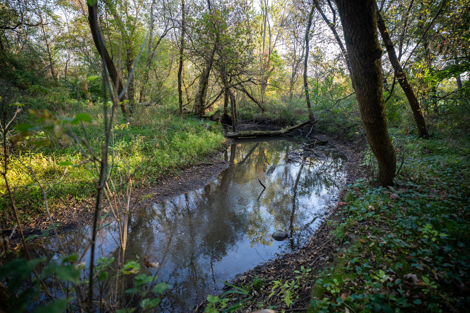 0 Hunter Road Capron, IL 61012 - Photo 17 of 36 a backyard of a house with lots of green space