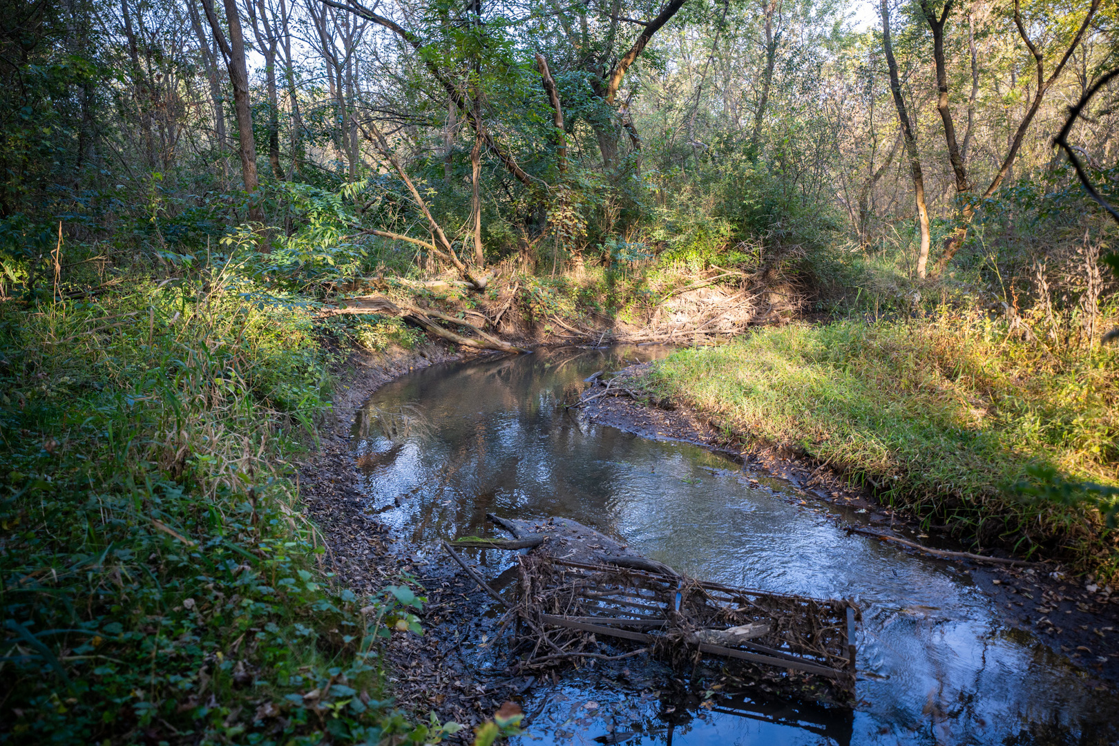 0 Hunter Road Capron, IL 61012 - Photo 18 of 36 a view of a backyard of a house