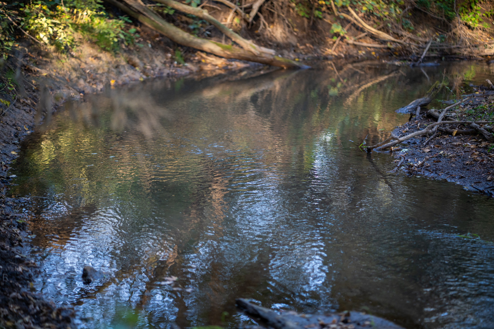 0 Hunter Road Capron, IL 61012 - Photo 20 of 36 a backyard of a house with a lake view