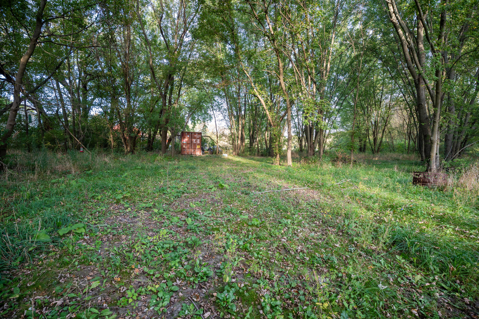 0 Hunter Road Capron, IL 61012 - Photo 22 of 36 a view of a green field with trees