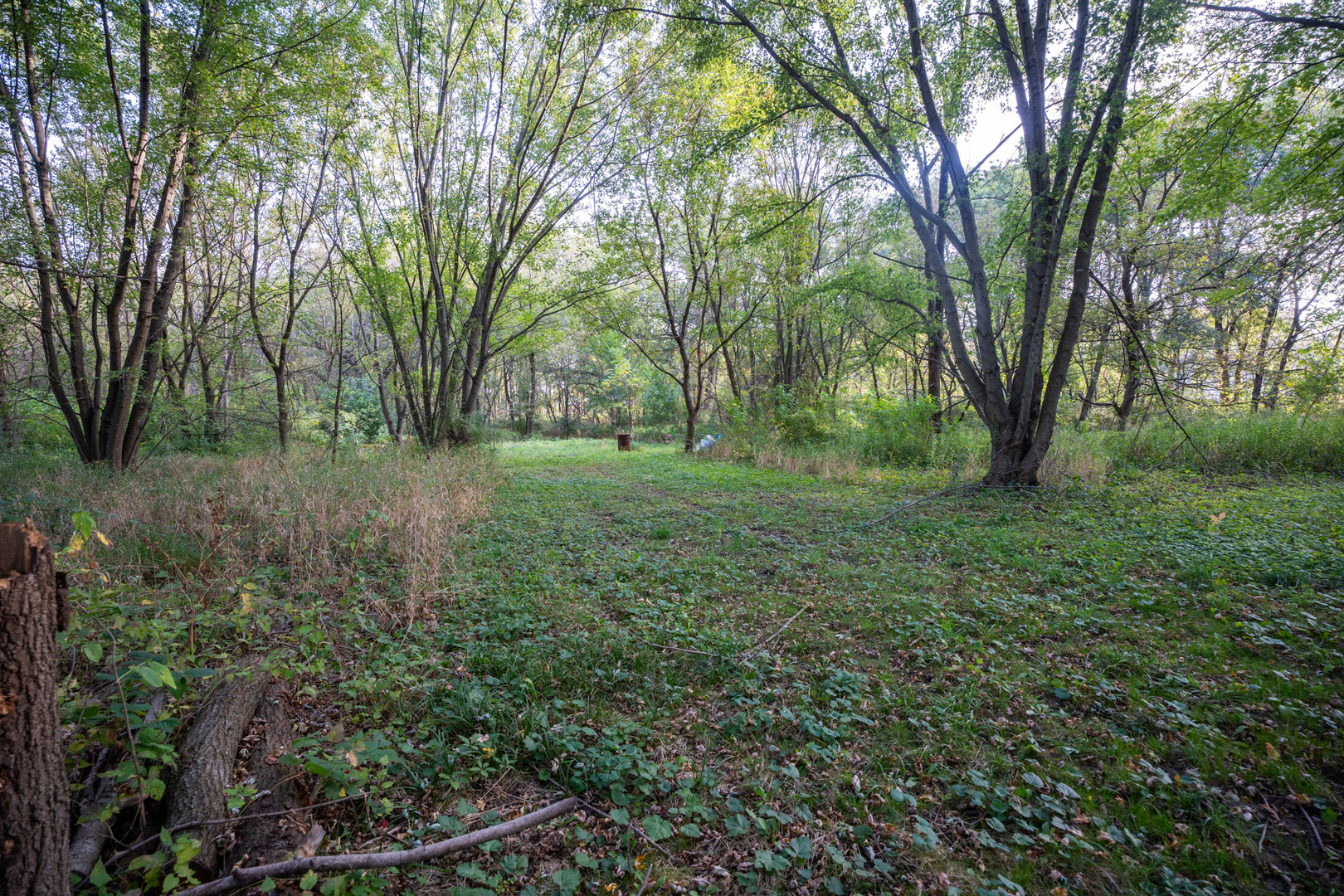 0 Hunter Road Capron, IL 61012 - Photo 23 of 36 a view of a lush green forest