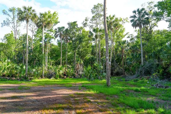 $420,000 | 6381 Cherry Lane, Bunnell, FL 32110
