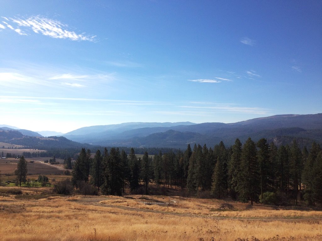 2800-blk Mcnitt Road Kettle Falls, WA 99141 - Photo 1 of 16 Gallery Image 1