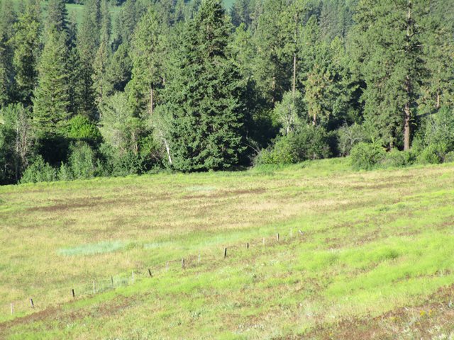 2800-blk Mcnitt Road Kettle Falls, WA 99141 - Photo 2 of 16 Gallery Image 2